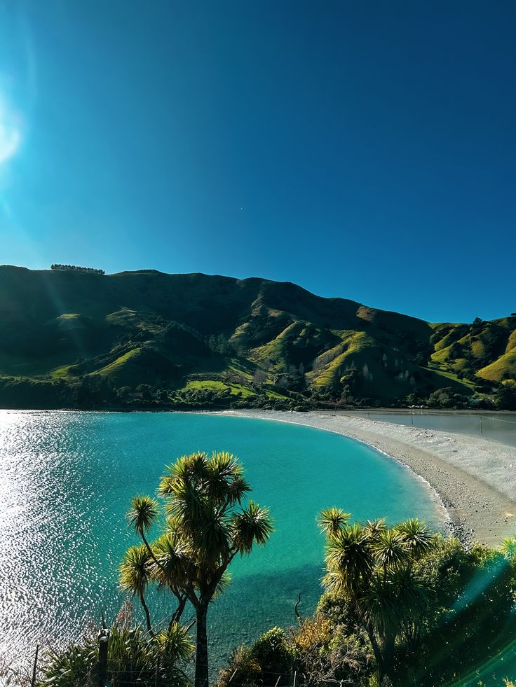 A turquoise bay curves along a white sandy beach, bordered by lush green hills under a clear blue sky. Spiky palm-like plants grow in the foreground beside the sparkling water.